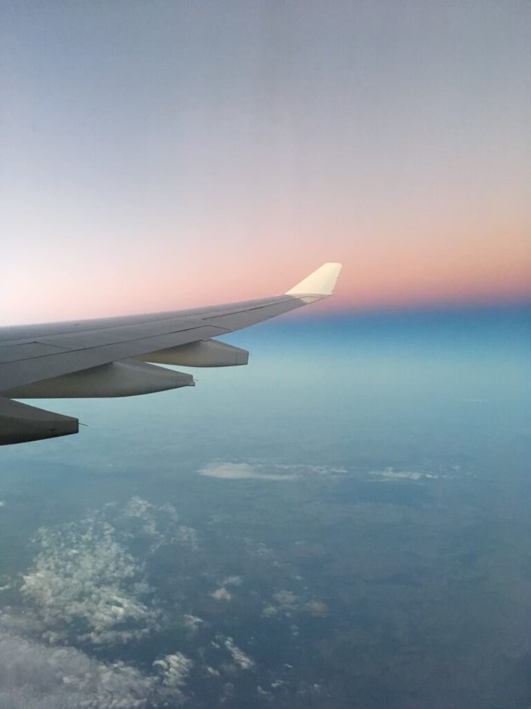 飛行機の翼と空